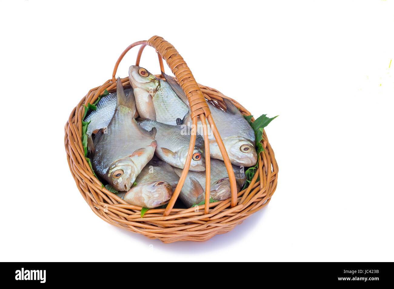 In a small wattled basket there is fish hooked in the river. It is presented on a white background. Stock Photo