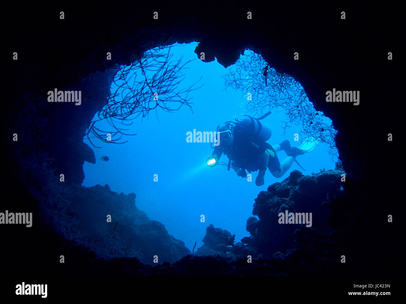 Taucher am Eingang einer Unterwasserhöhle, Malediven, Süd-Male-Atoll ...
