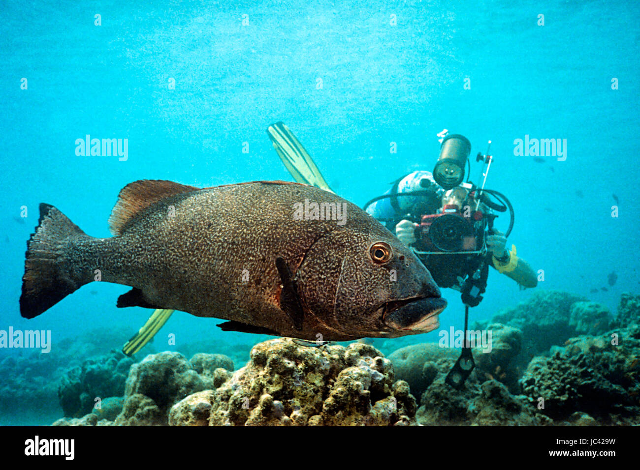 Unterwasser fotograf hi-res stock photography and images - Alamy
