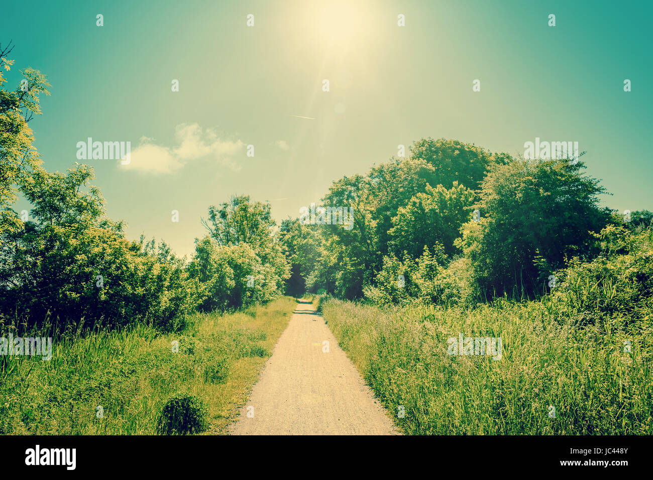 High resolution photo in best quality Stock Photo Alamy