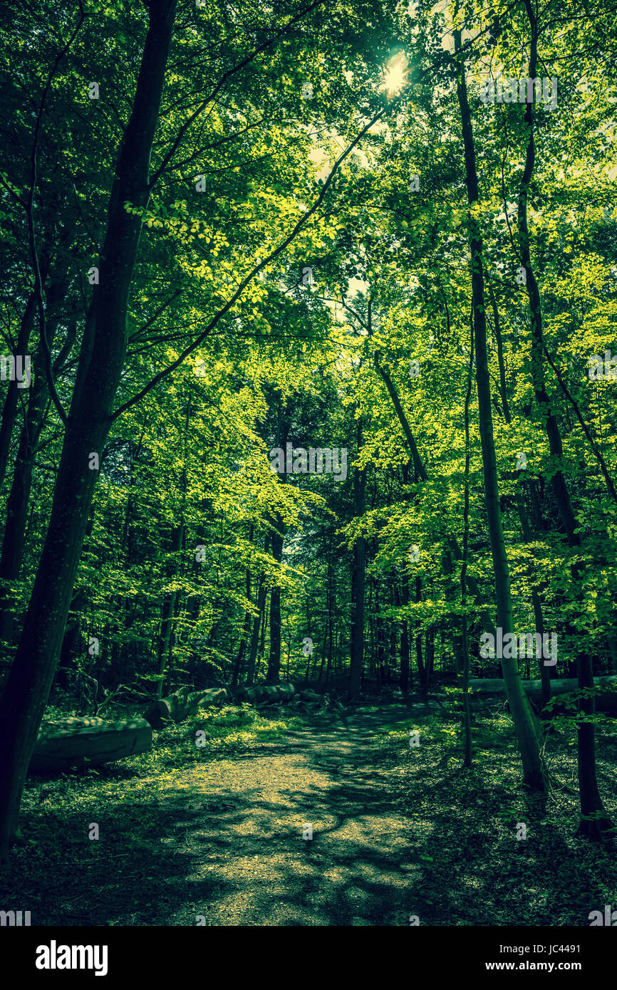 High resolution photo in best quality Stock Photo Alamy