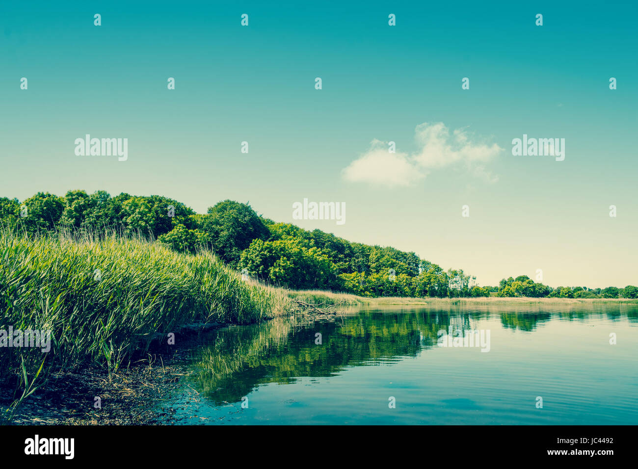 High resolution photo in best quality Stock Photo Alamy
