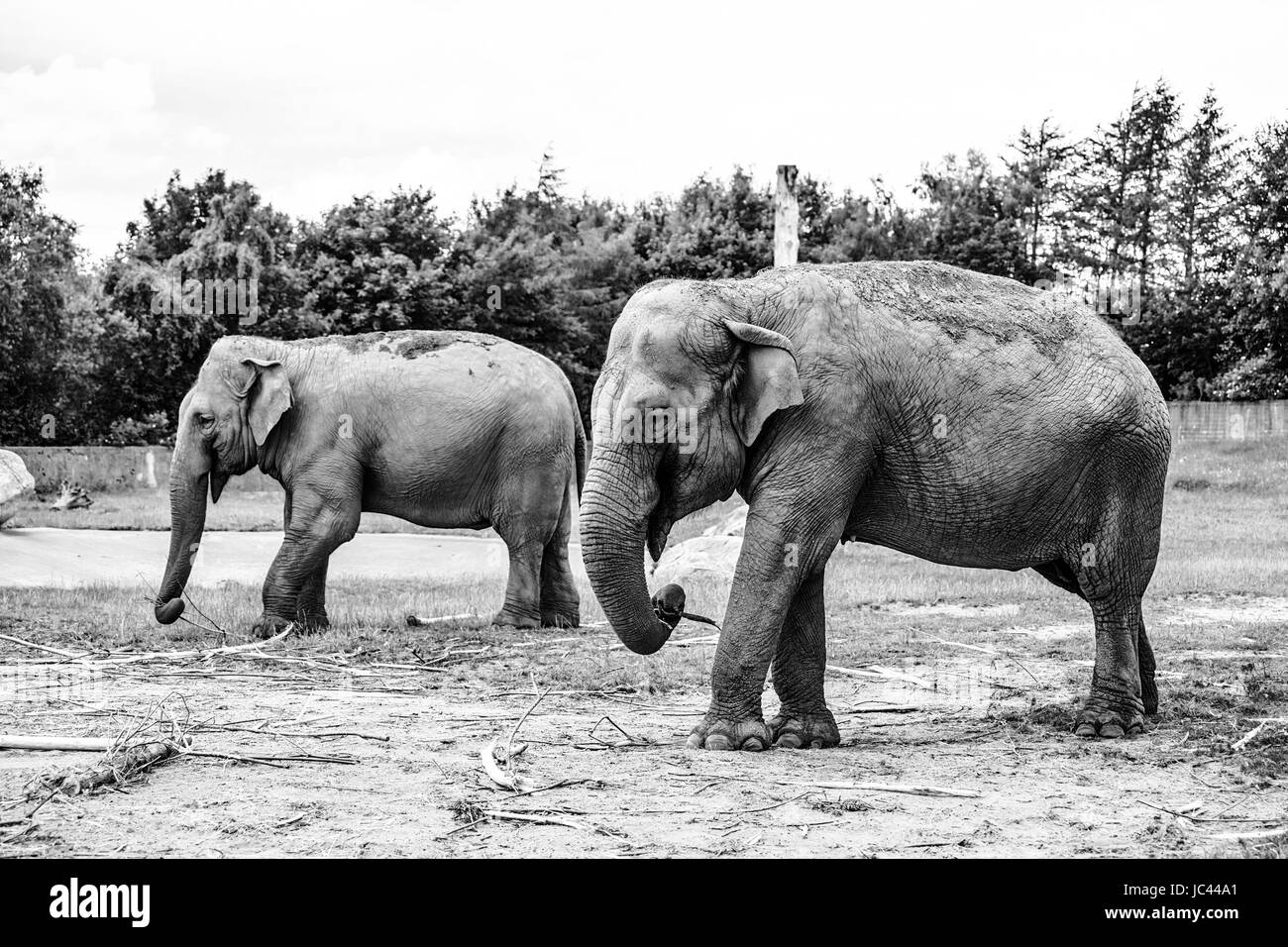 High resolution photo in best quality Stock Photo Alamy