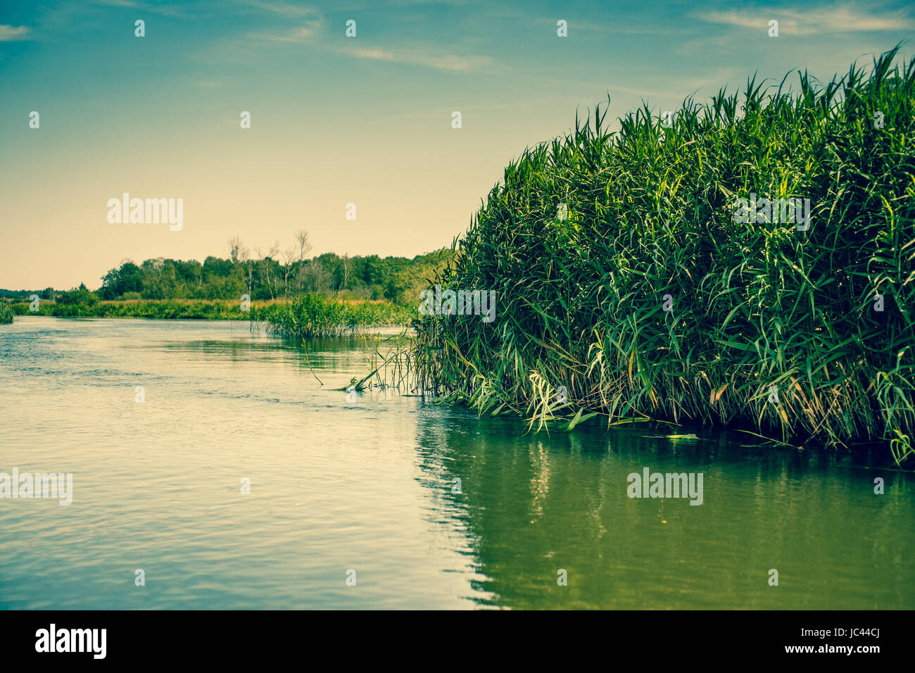 High resolution photo in best quality Stock Photo Alamy