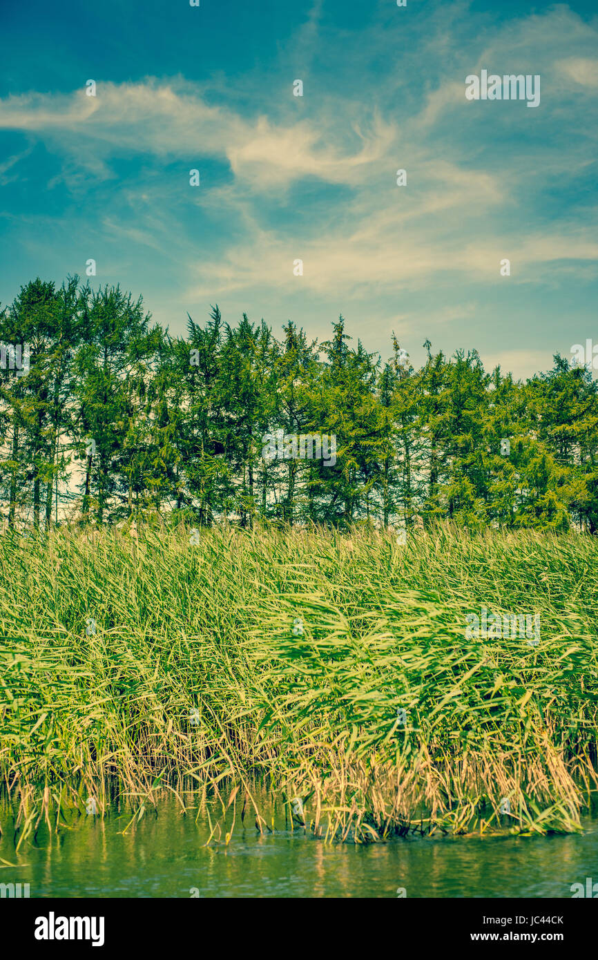 Riverside rushes hi-res stock photography and images - Alamy