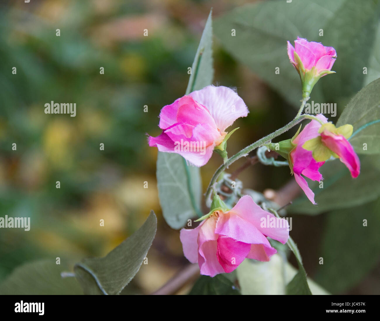 detail shot of artificial pink flowers and green leaves Stock Photo