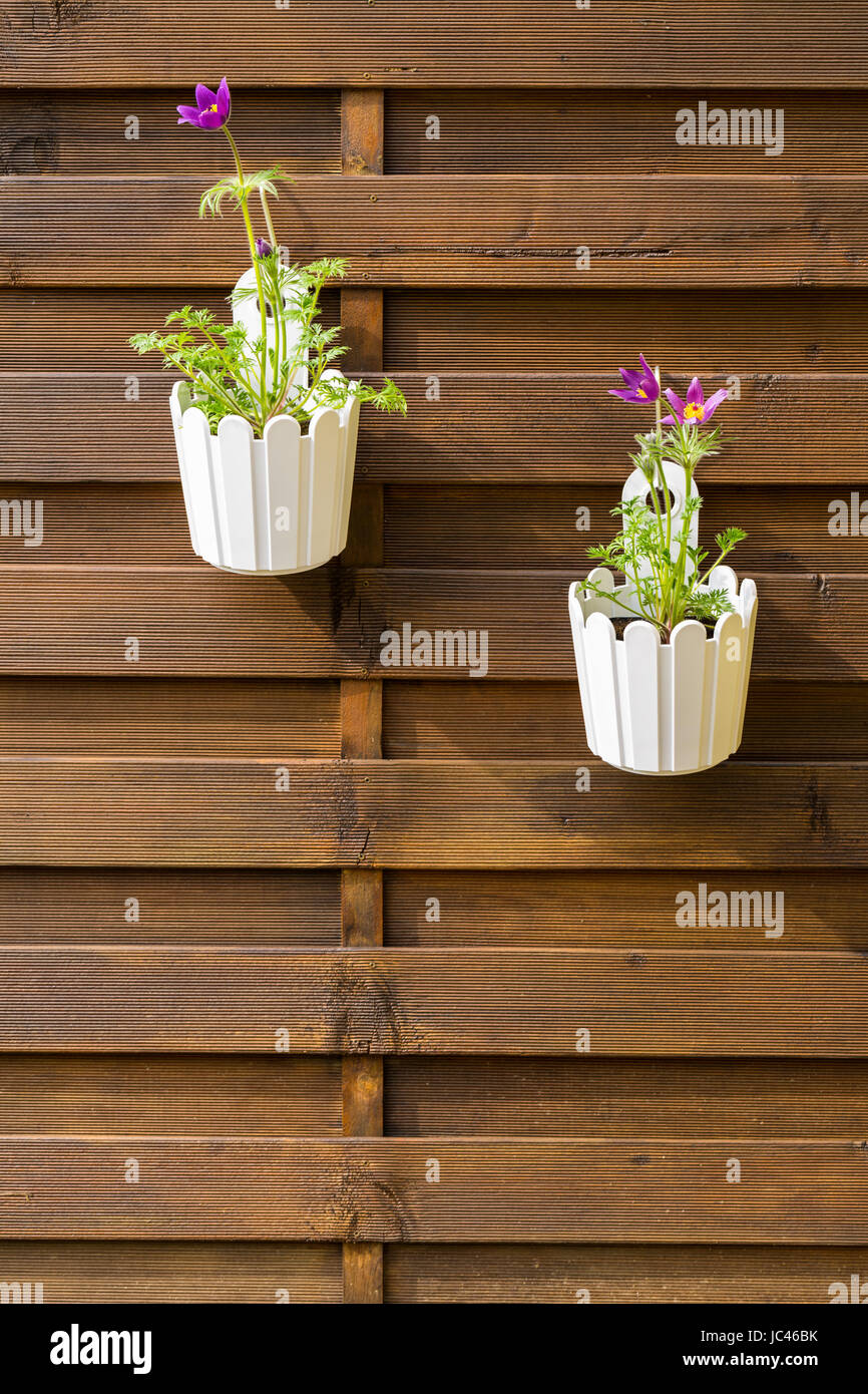 Outdoor flower pot hanging on wooden fence for small garden, patio or  terrace Stock Photo - Alamy