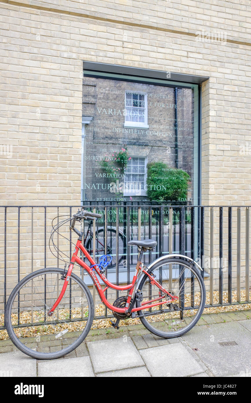 Bicycle chained to the railing outside a window, which has a quotation from Charles Darwin's inscribed on it, at the Centre for Human Evolutionary Stu Stock Photo