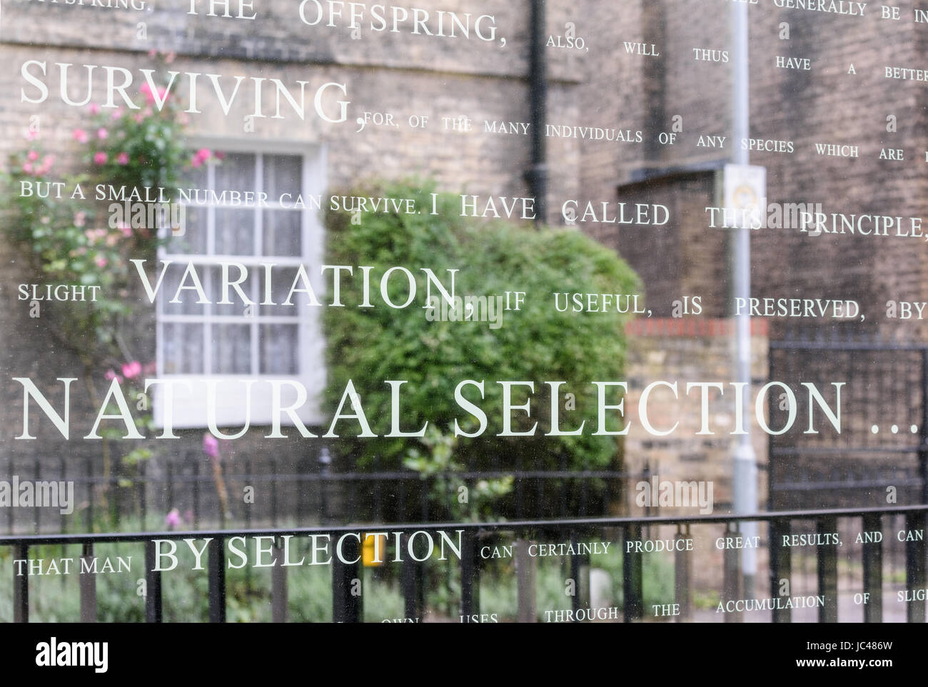 Window, with a quotation from Charles Darwin's inscribed on it, at the Centre for Human Evolutionary Studies, university of Cambridge, Fitzwilliam str Stock Photo