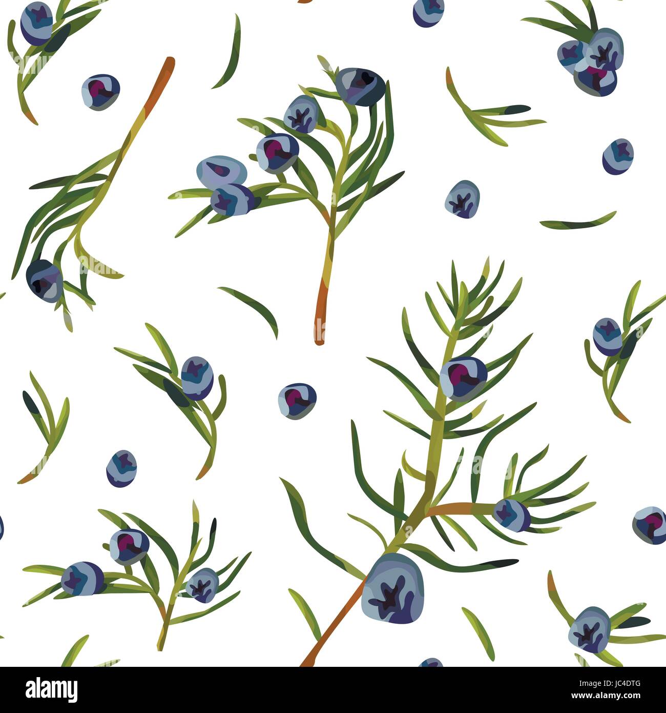Juniper Branch with Leaves and Berries Seamless Pattern background. Medicinal plant Wallpaper in Watercolor style. Traditional herbal therapy. Vector Stock Vector