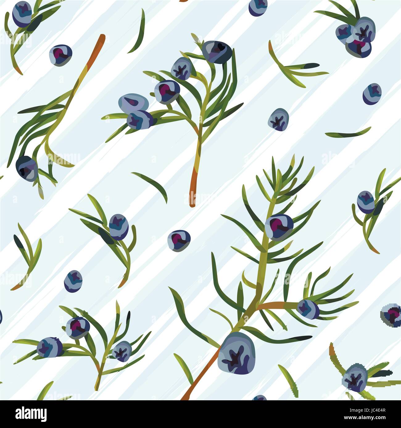 Juniper Branch with green Leaves and blue Berries Seamless Pattern background Natural Watercolor style herbal Vector illustration isolated on diagonal Stock Vector