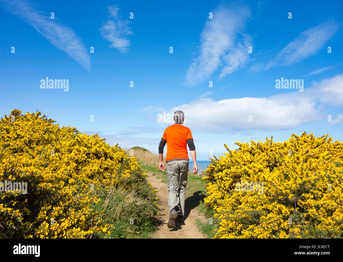 Uk coastal hiker hi-res stock photography and images - Alamy