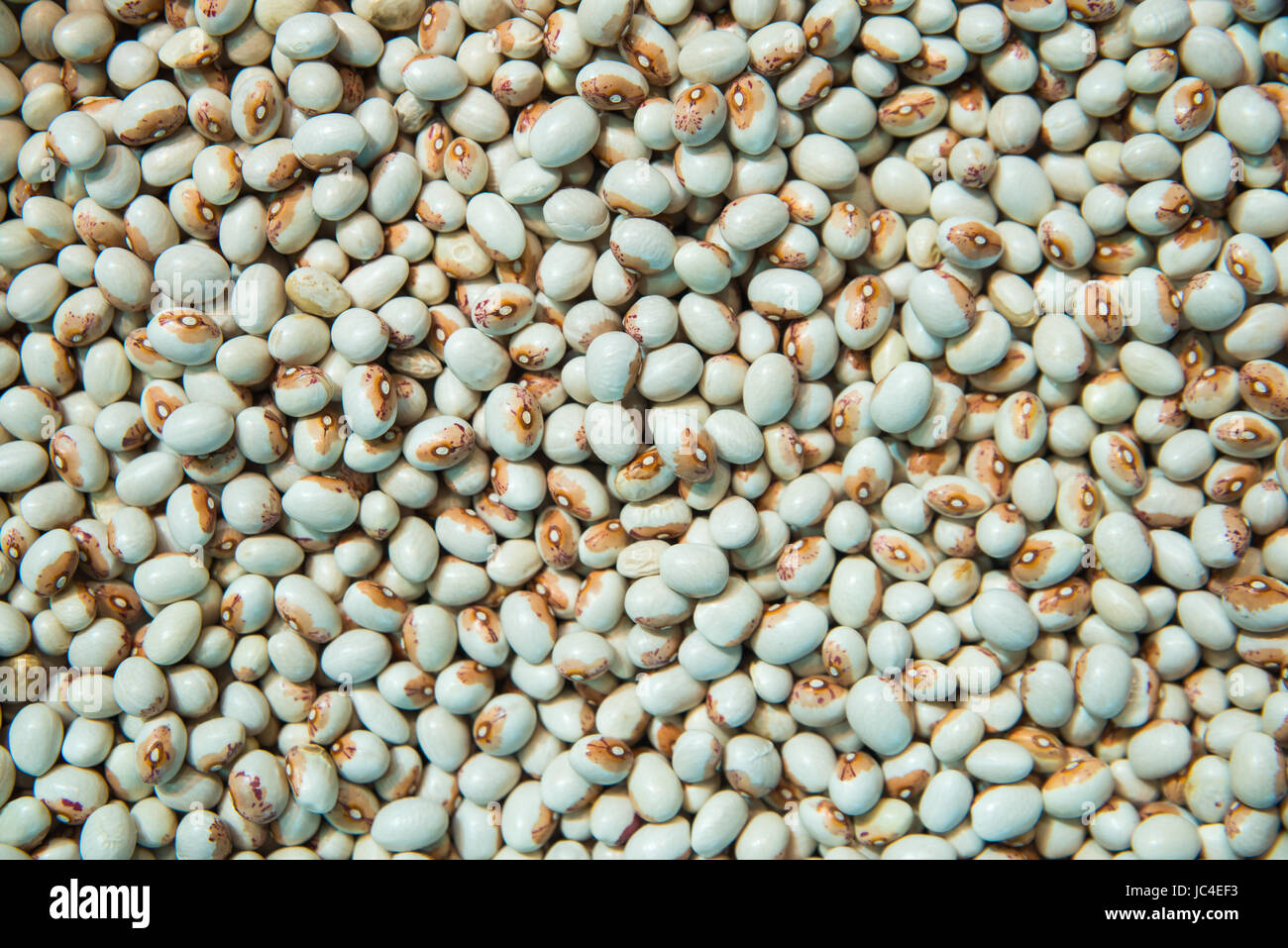 Virgin beans. Beans background. Natural organic beans Stock Photo
