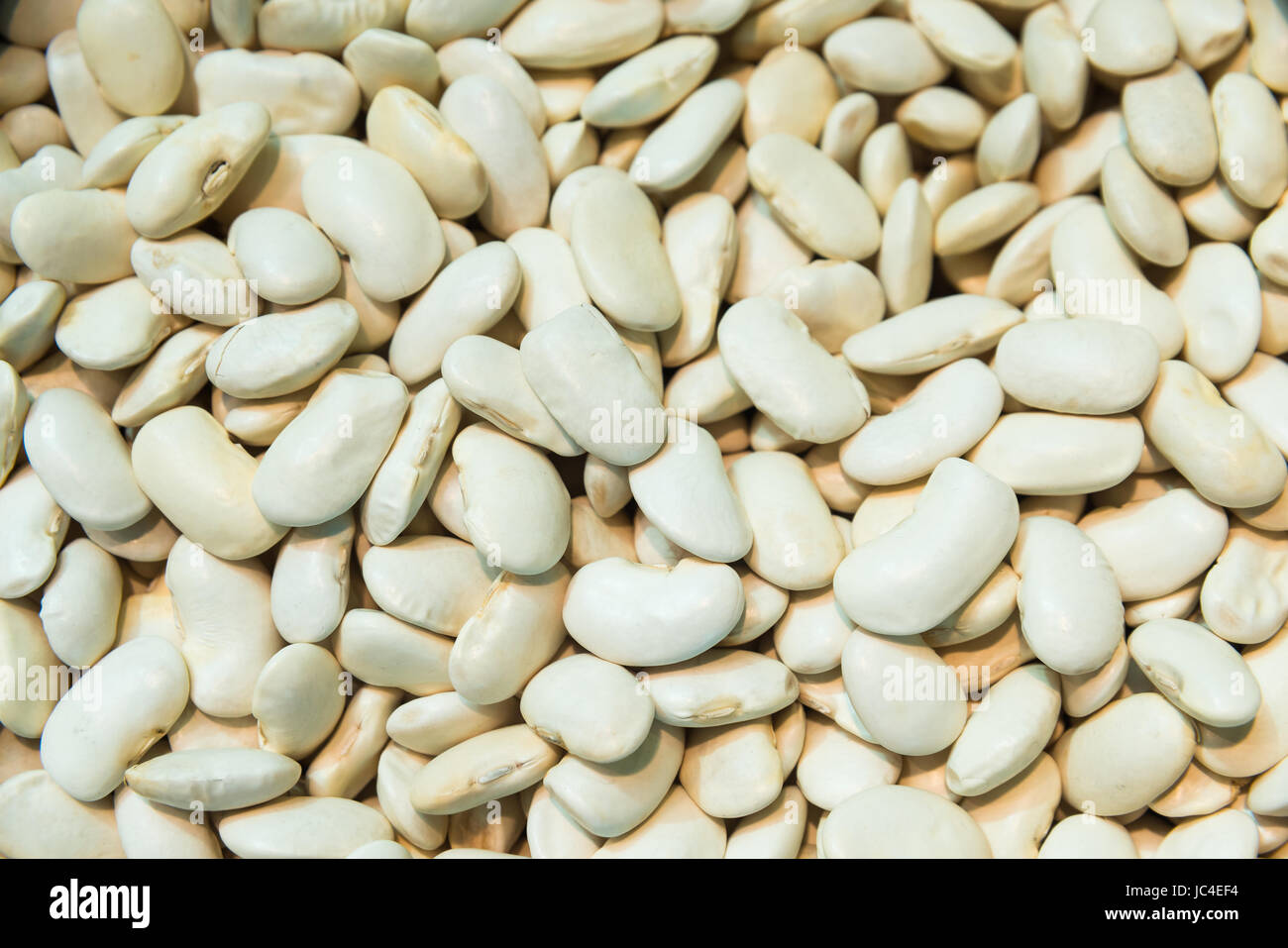 Giant broad beans from the farm Stock Photo Alamy