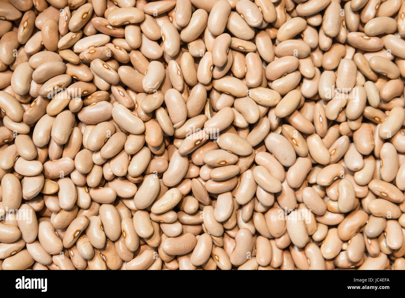 cinnamon beans. Beans background. Natural organic beans Stock Photo Alamy