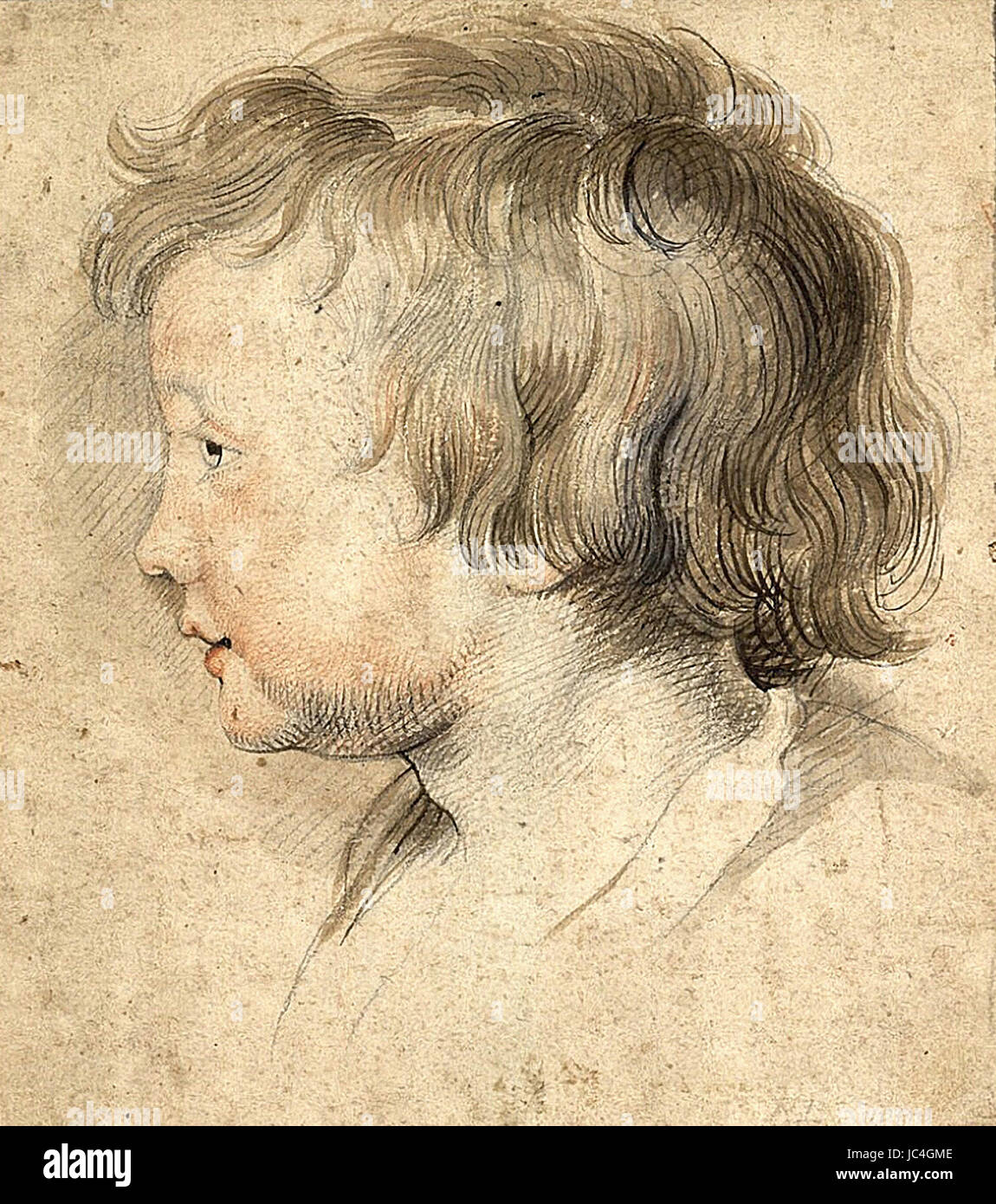 Peter Paul Rubens - Albert Rubens in profile to the Left Stock Photo ...