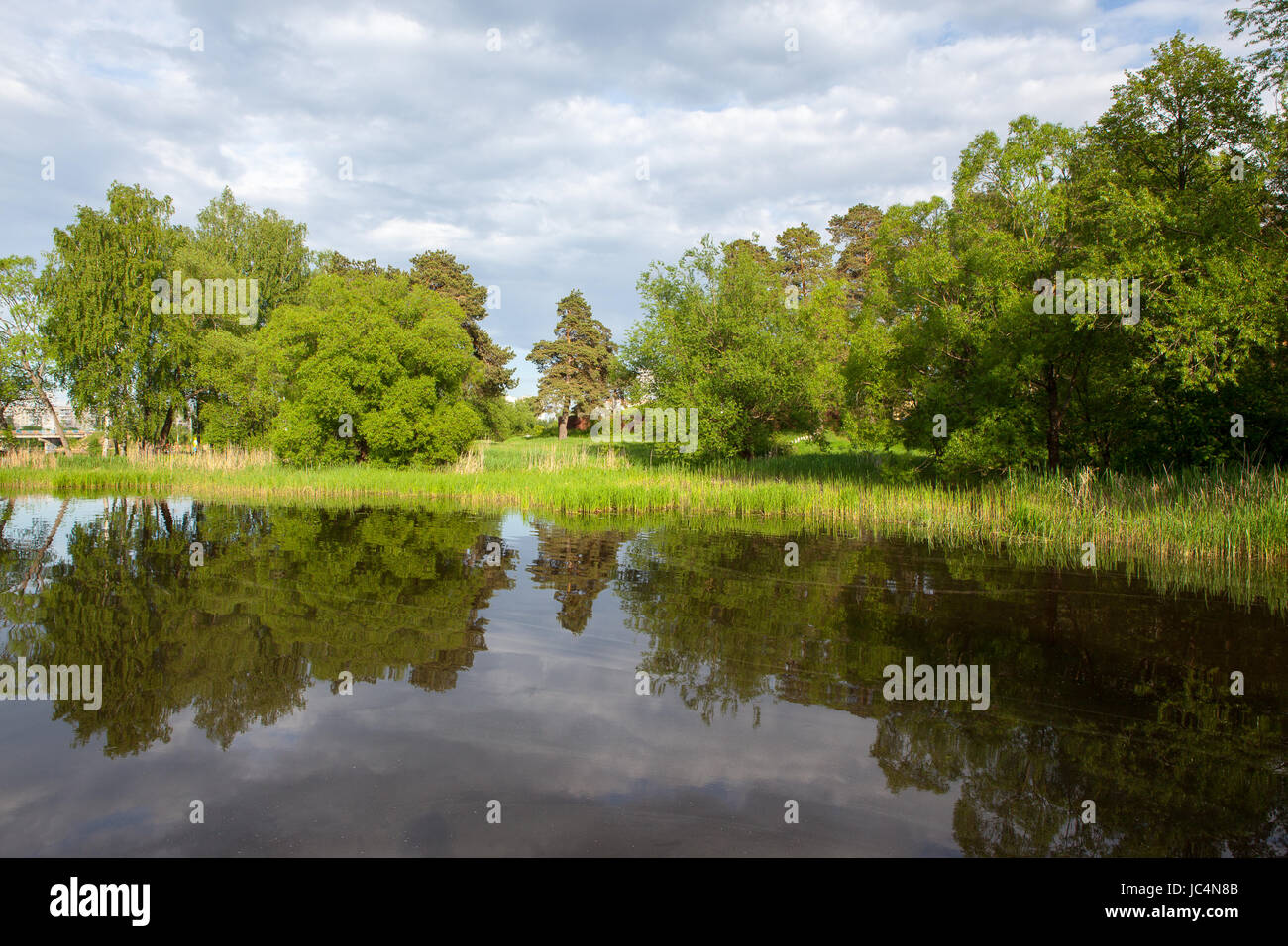 A small and beautiful river surrounded by green trees Stock Photo - Alamy