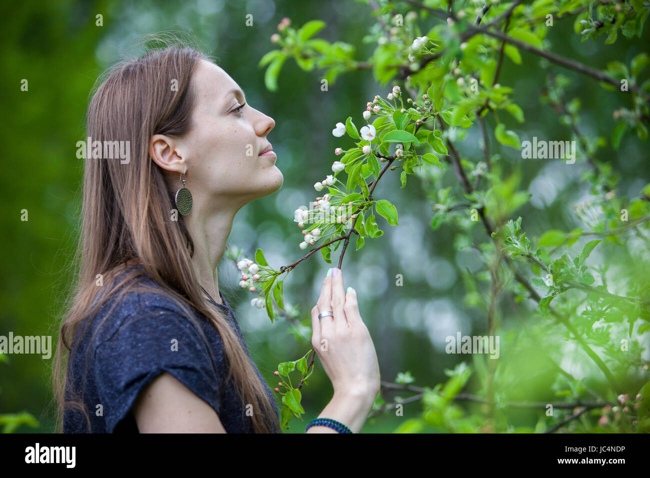 Sniff Spring Girl sniffing and enjoying blossoming tree in the spring Stock Photo ...