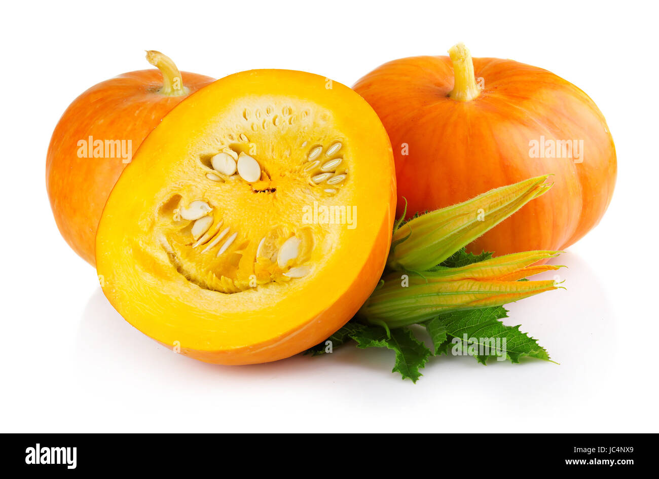 Ripe pumpkin vegetables with green levaes and blossom isolated on white Stock Photo