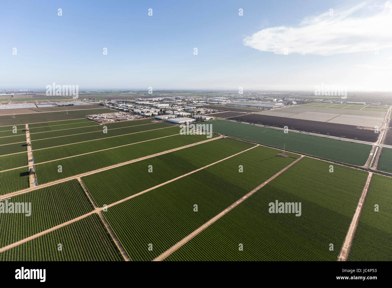 Aerial view of green farm fields near Camarillo in Ventura County