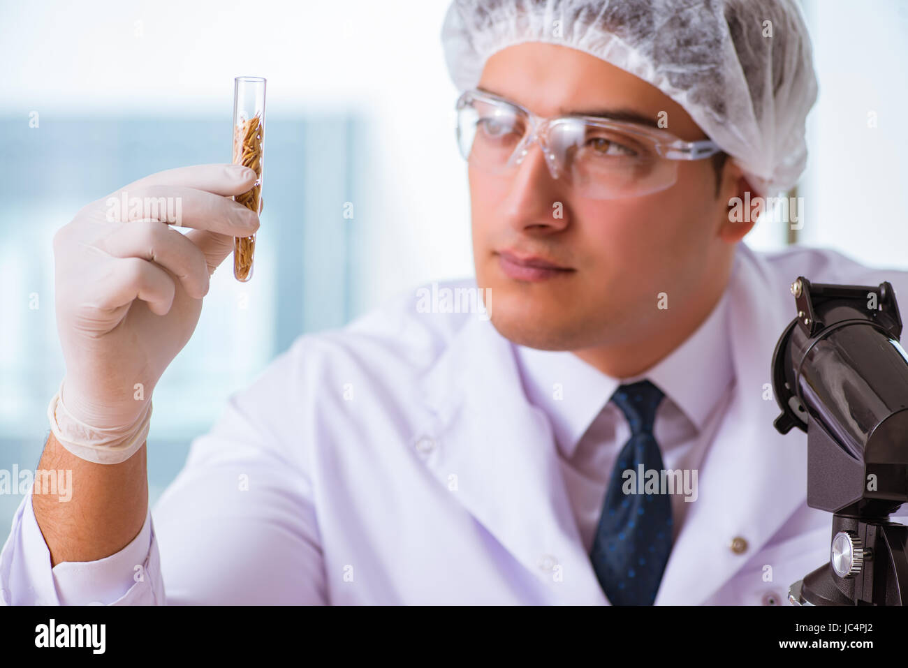 Corn research genetic testing hi-res stock photography and images - Alamy