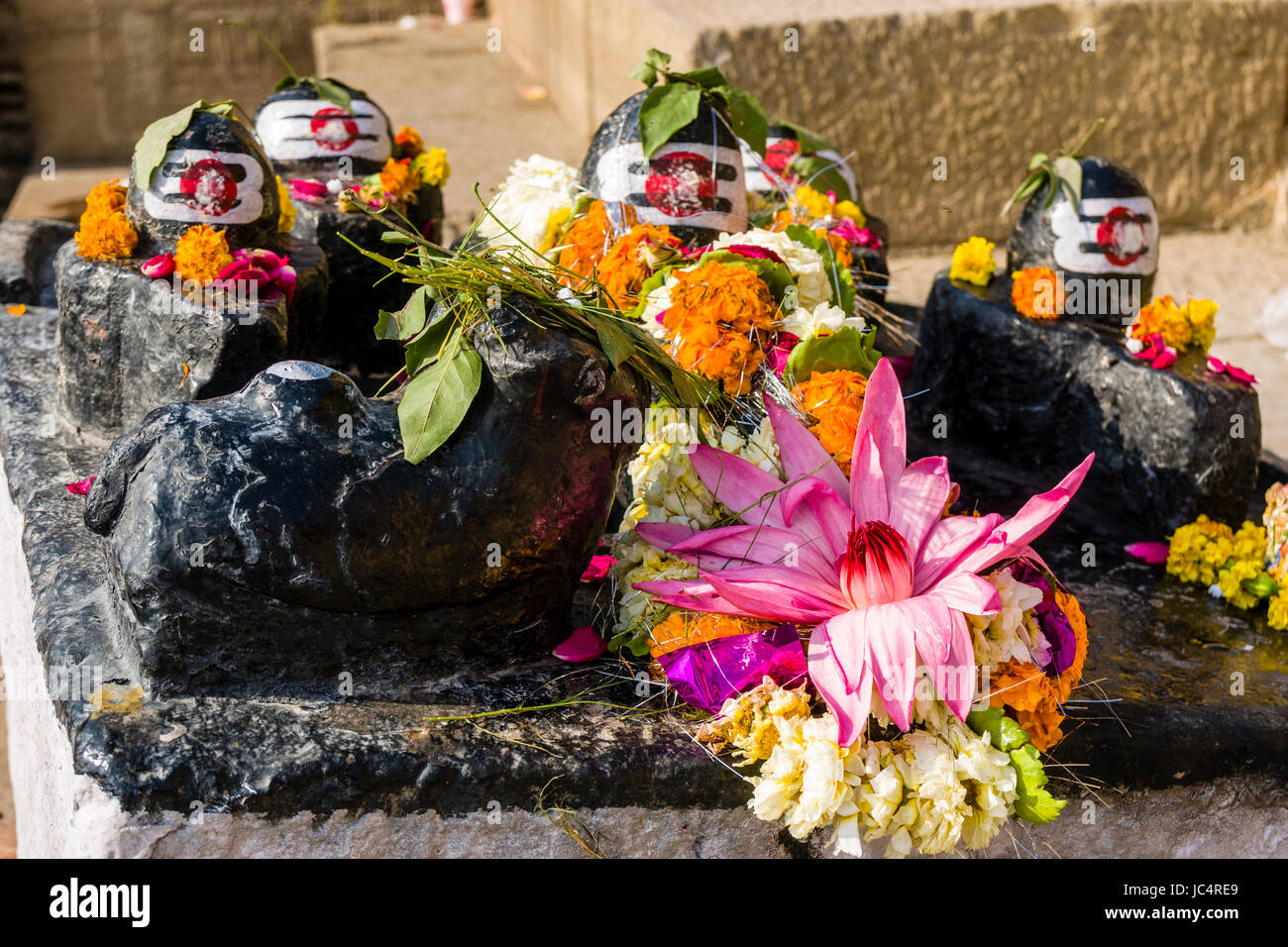 A Shiva Lingam, little shrine, at Dashashwamedh Ghat, Main Ghat, in the suburb Godowlia is beautifully decorated with lotus flowers Stock Photo