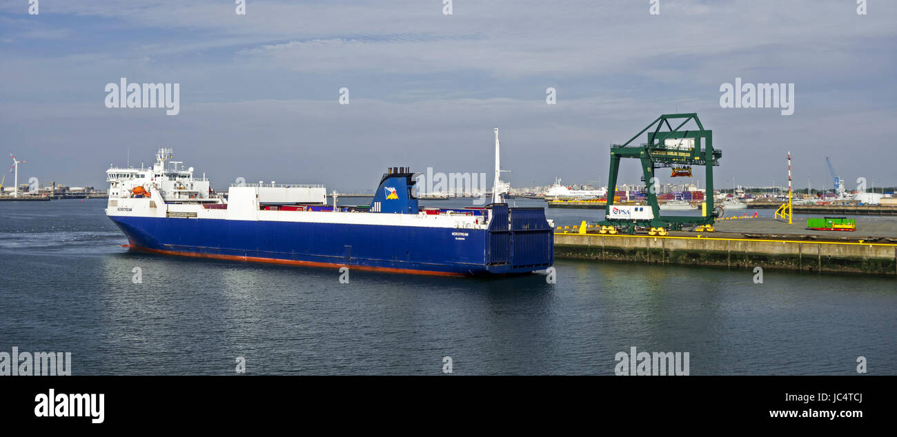MS Norstream, freight ferry / ro-ro cargo ship in the port of Zeebrugge, Belgium Stock Photo