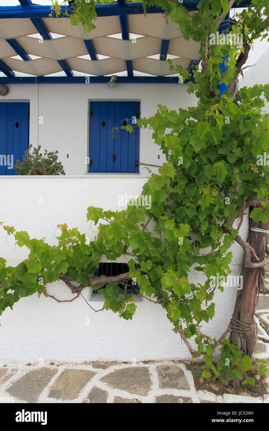 Greece, Cyclades, Paros, Parikia, street scene, vine plant, house, Stock Photo
