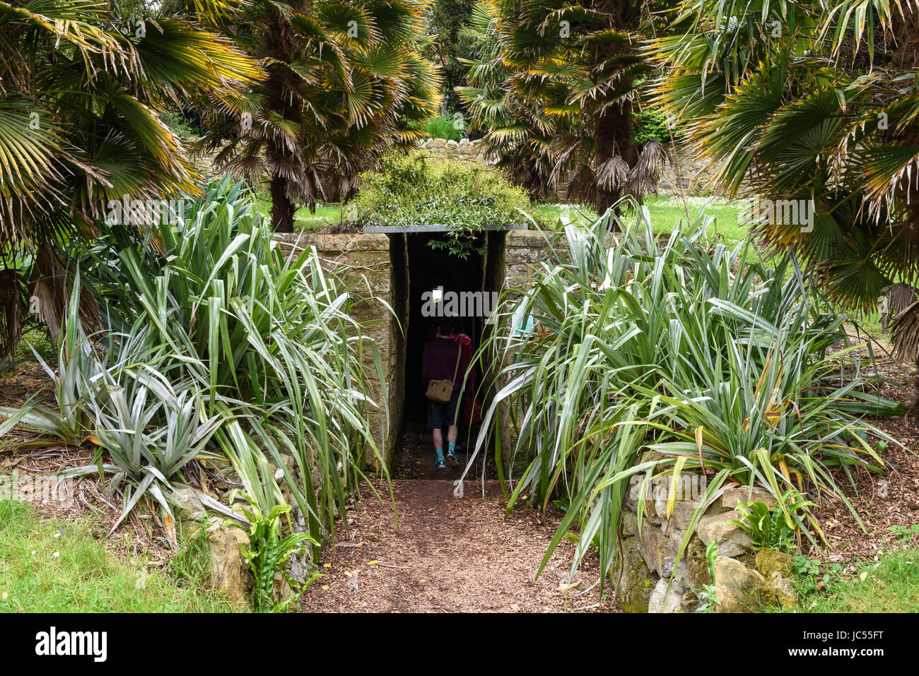 Tunnel, Ventnor Botanic Gardens, Isle of Wight, UK Stock Photo