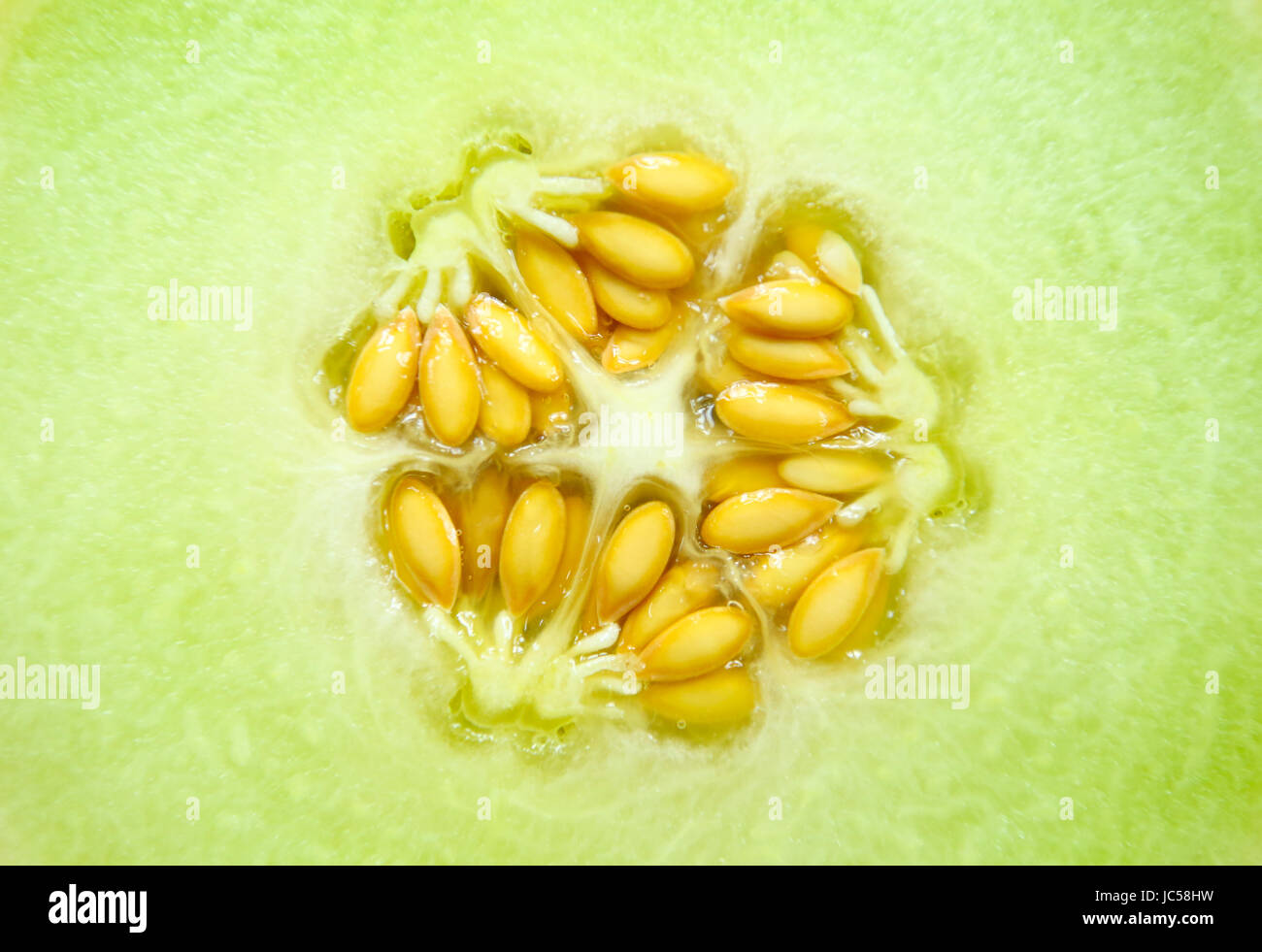 Galia melon whole fruit and cut Stock Photo Alamy
