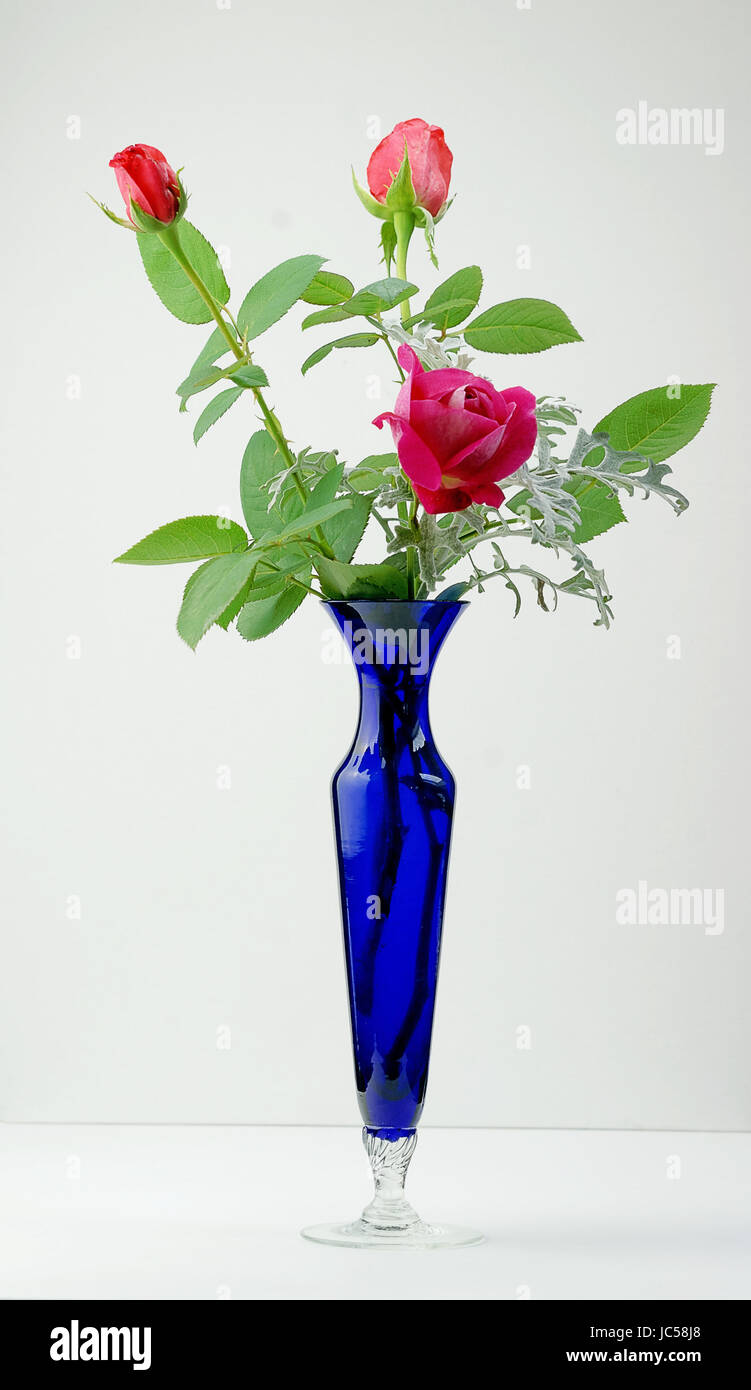 pink roses with a blue vase Stock Photo