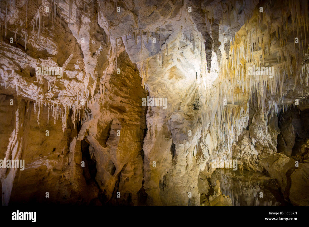 Stalagmites and stalactites in Ruakuri Cave, Waitomo in New Zealand. Stock Photo