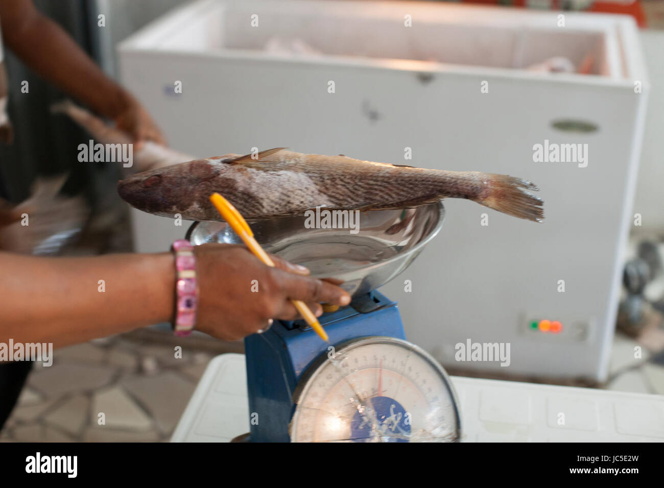 Weighing fish hires stock photography and images Alamy
