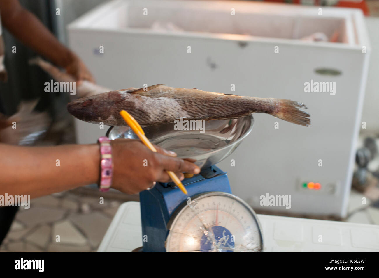 Fish weighing scales hi-res stock photography and images - Alamy