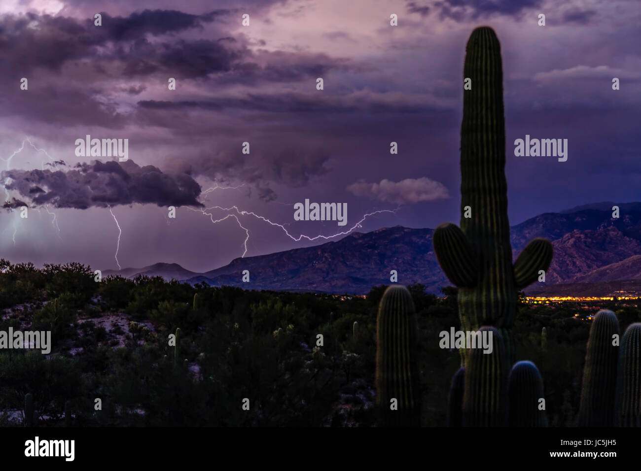 An intense summer monsoon storm brings drama to the sonoran desert near Tucson, Arizona. Stock Photo