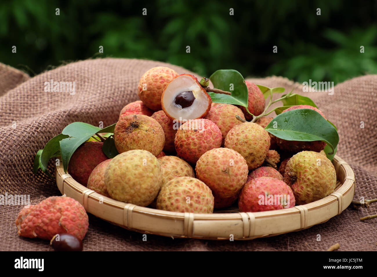 Close up of litchi fruit or lychee fruits, a tropical agriculture product at Luc Ngan, Bac Giang, Vietnam, basket of Vai thieu on brown background Stock Photo