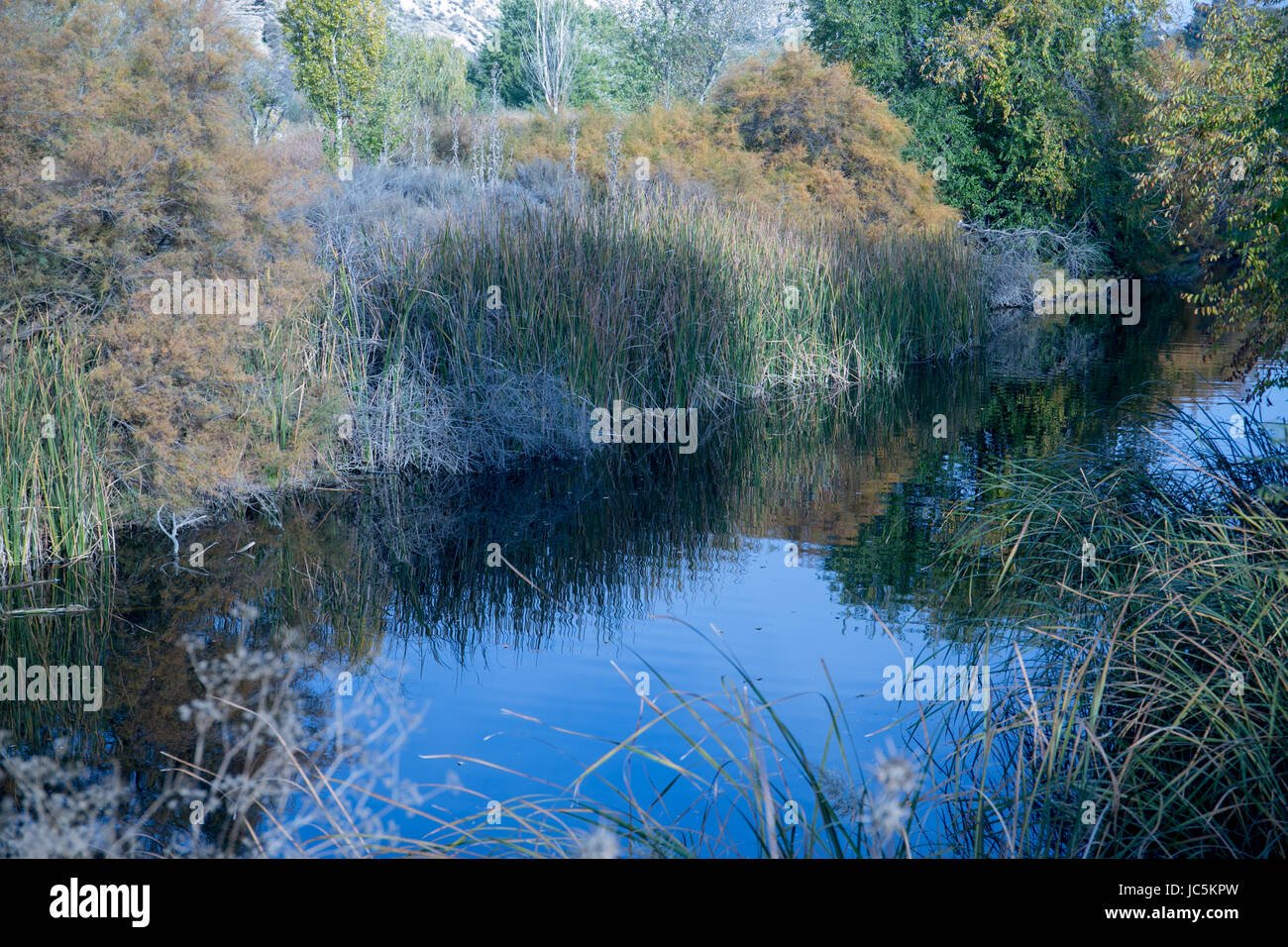 Picture of a lake with reflection of the sky and trees Stock Photo - Alamy