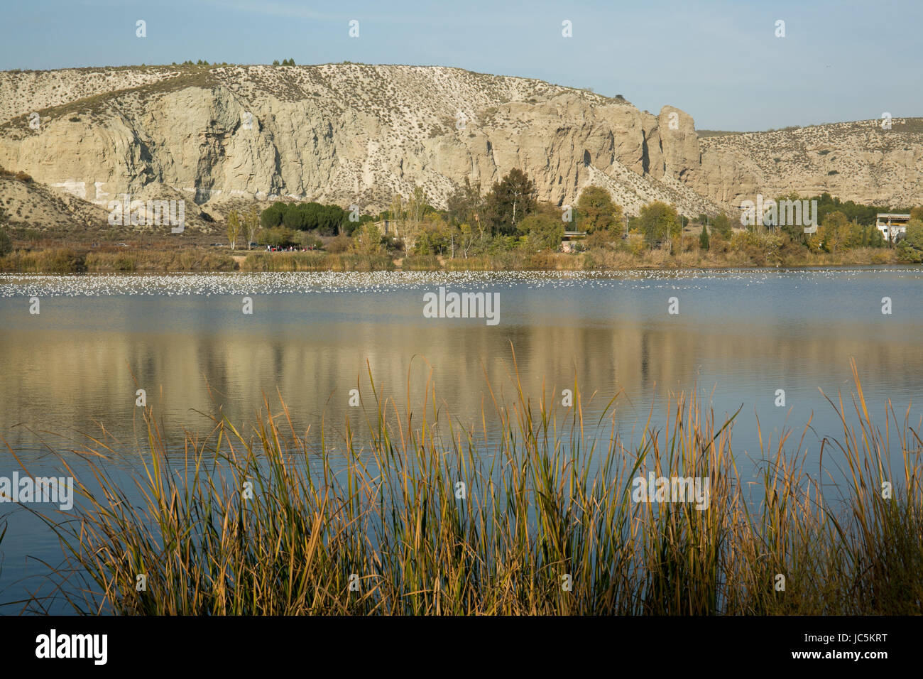 Picture of a lake with reflection of the sky and trees Stock Photo - Alamy