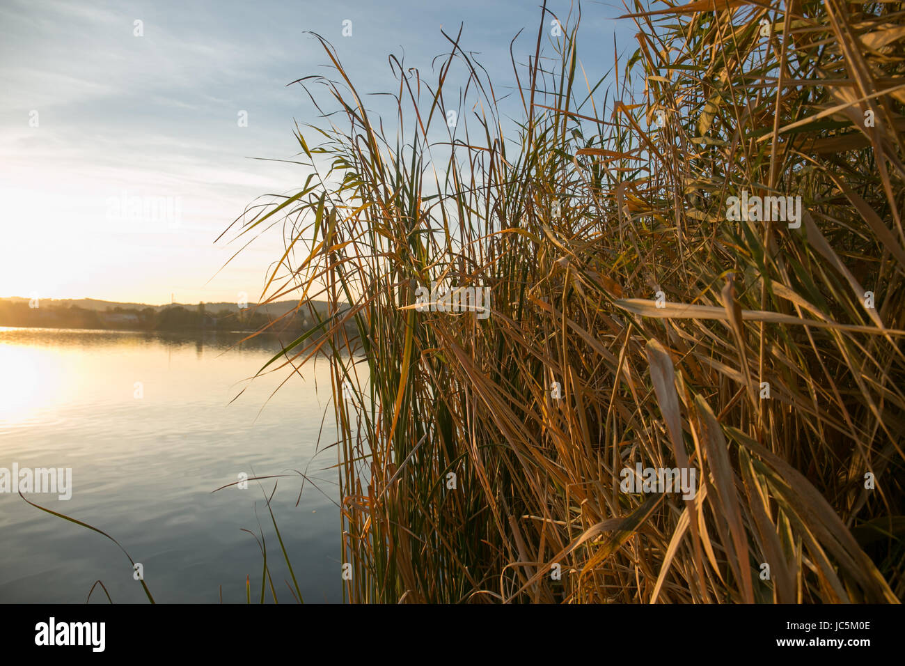 view of sunset with trees and water reflection in a lake Stock Photo ...
