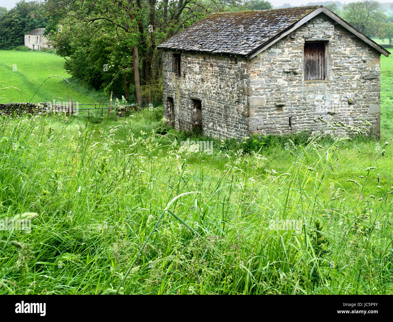 Field Barn near West Burton in Wensleydale Yorkshire Dales North
