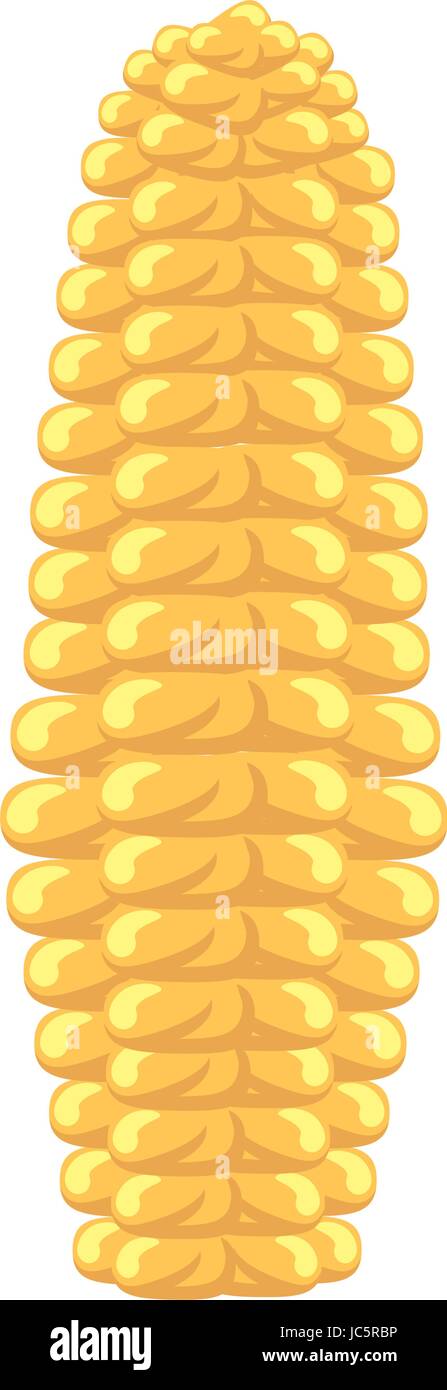 Corn fresh vegetable Stock Vector Image & Art - Alamy