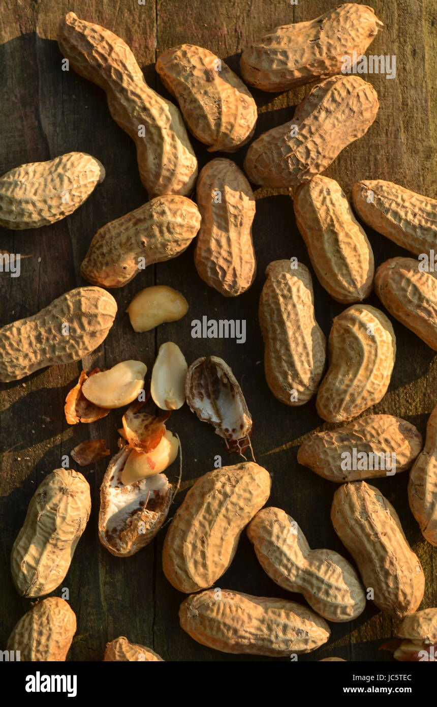 roasted peanuts in shells Stock Photo Alamy