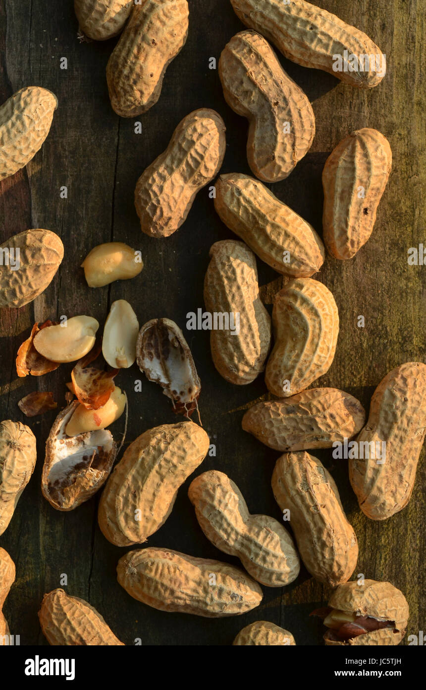 roasted peanuts in shells Stock Photo Alamy