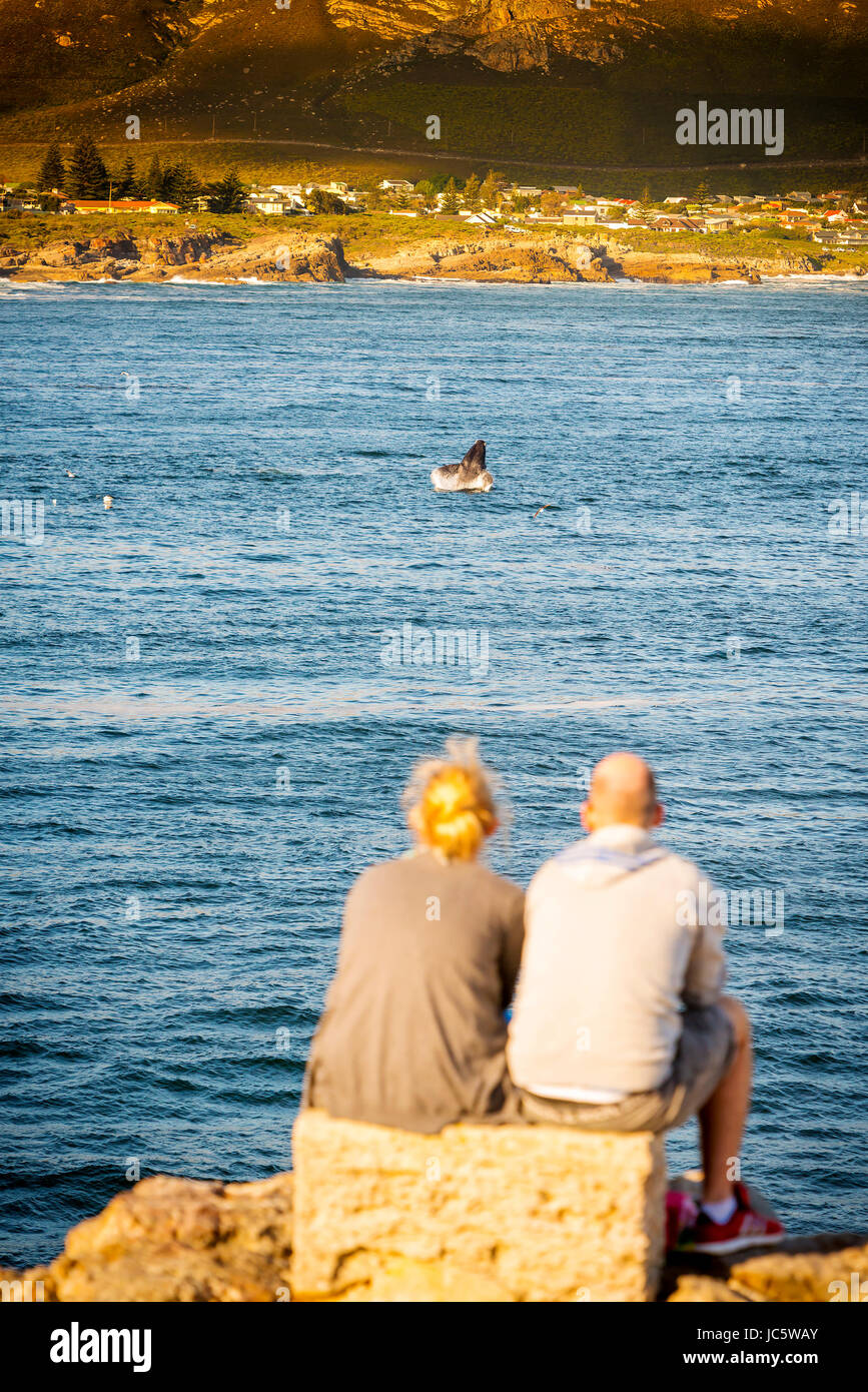 HERMANUS, SOUTH AFRICA 4 OCTOBER 2015 An unidentified couple whale watching in Hermanus HERMANUS, SOUTH AFRICA 4 OCTOBER 2015 An unidentified couple whale watching in Hermanus