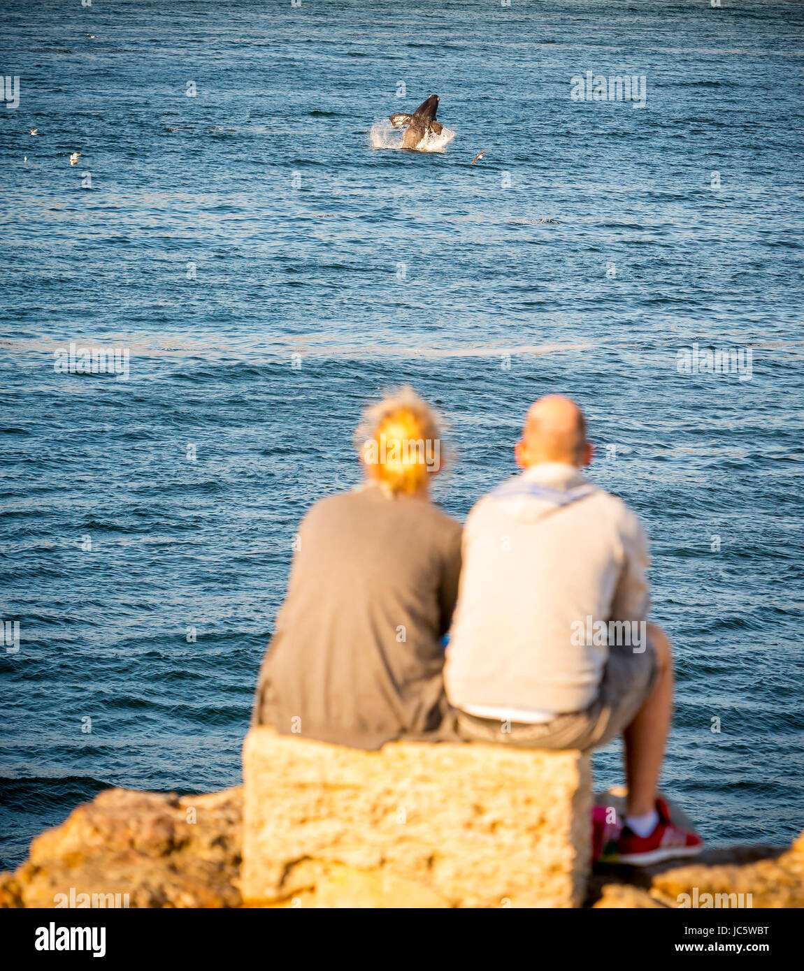 HERMANUS, SOUTH AFRICA 4 OCTOBER 2015 An unidentified couple whale watching in Hermanus HERMANUS, SOUTH AFRICA 4 OCTOBER 2015 An unidentified couple whale watching in Hermanus