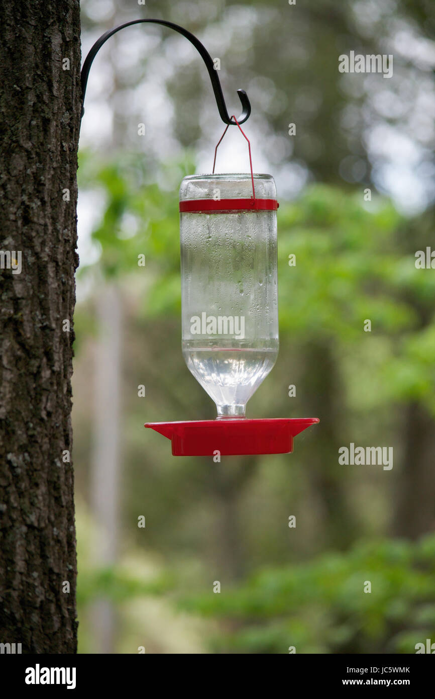 Selective focus on generic red bird feeder, hung outdoors from a tree to feed birds Stock Photo