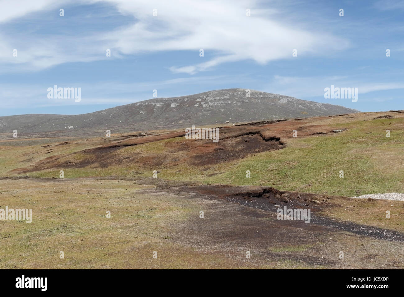 view of Pebble Island, Falkland Islands Stock Photo