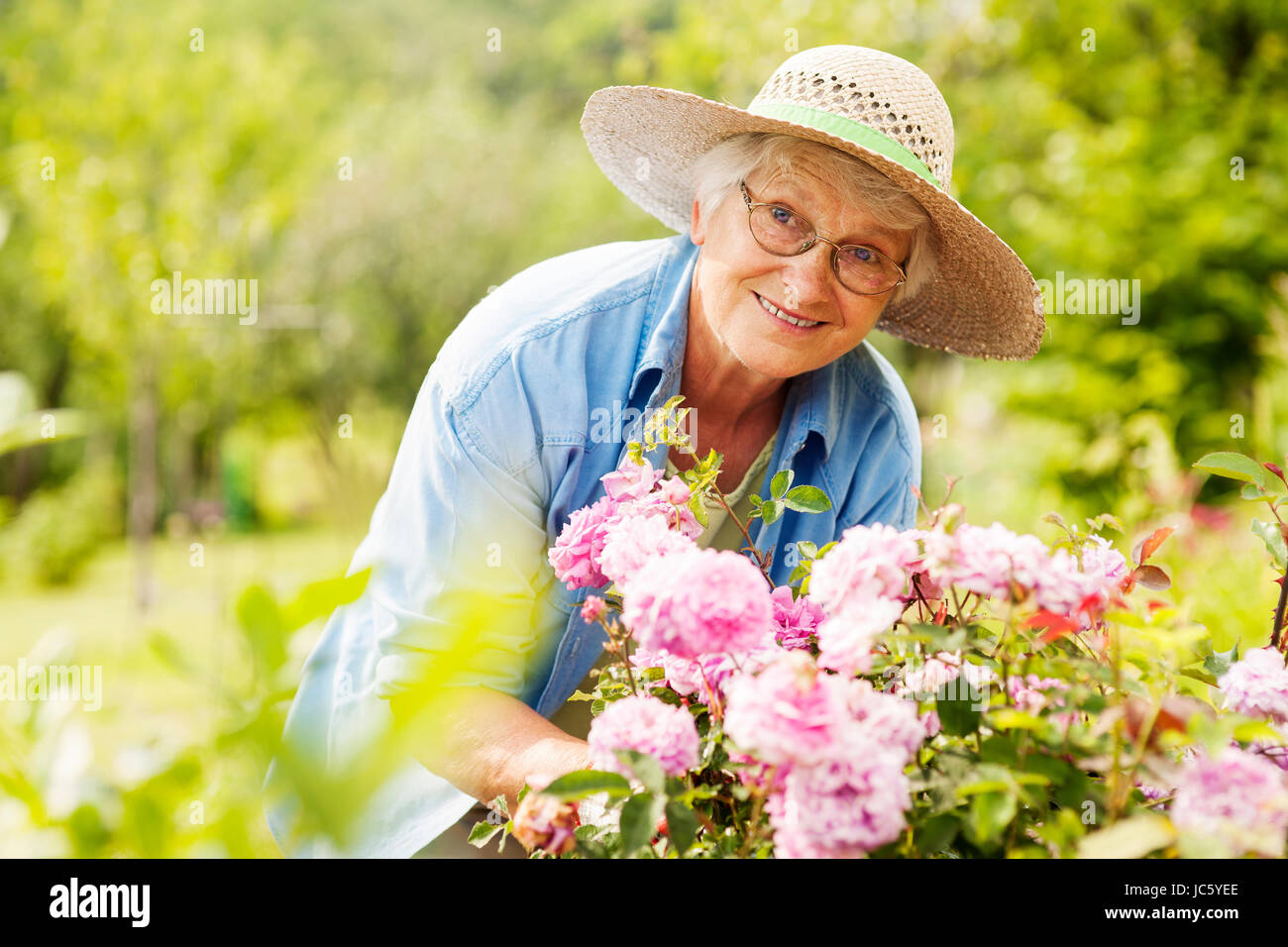 Senior woman with flowers in garden Stock Photo - Alamy
