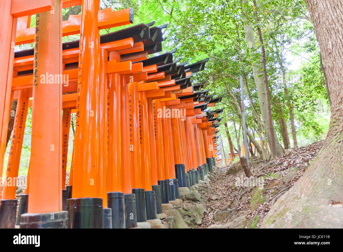 Famous red torii gate corridor in Fushimi Inari Taisha Shinto Shrine in ...
