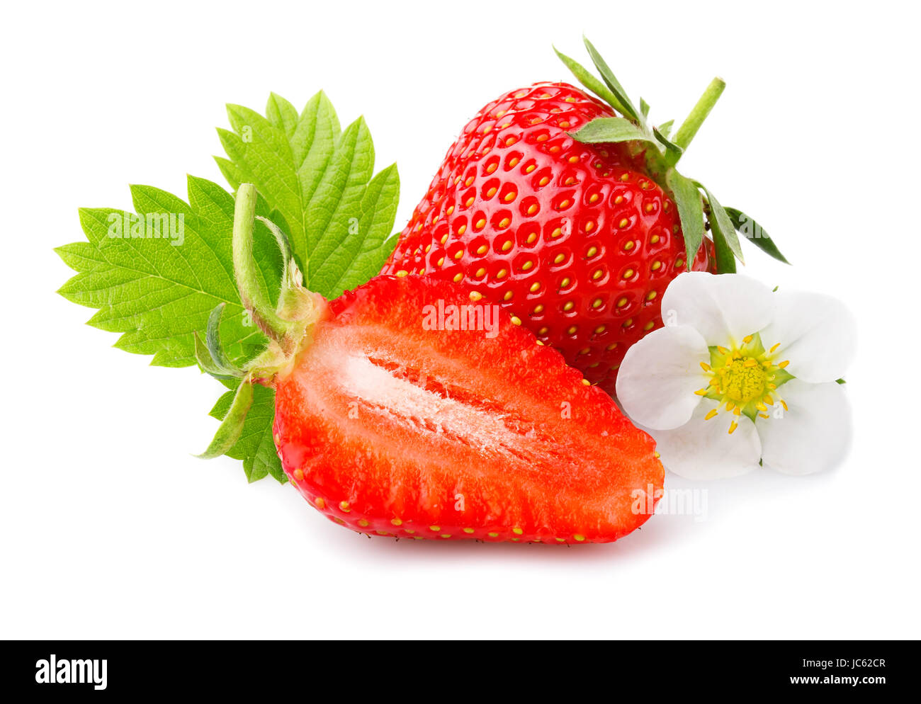 Strawberries with leaves and blossom isolated on a white background Stock Photo